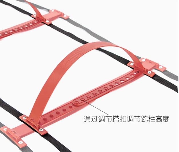 Hochwertige, vielseitige Dual- – Agility Ladder Speed Bewertung und Preis