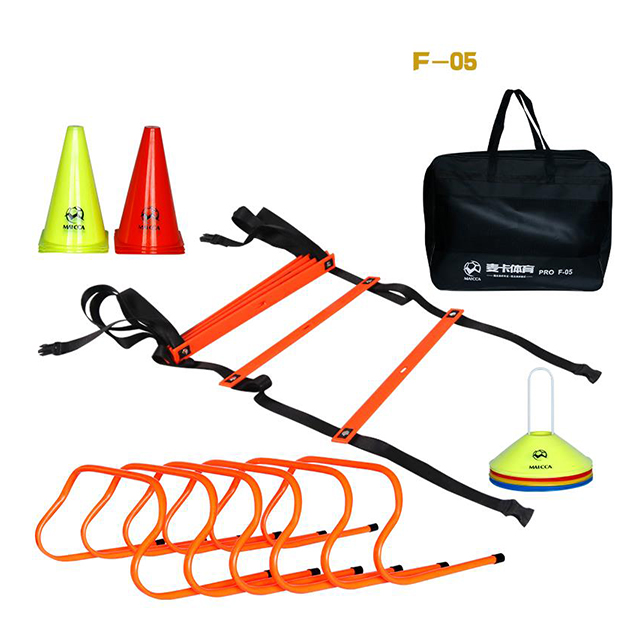 15-Fuß-Agility-Trainingsset mi – Agility Ladder Speed Bewertung und Preis