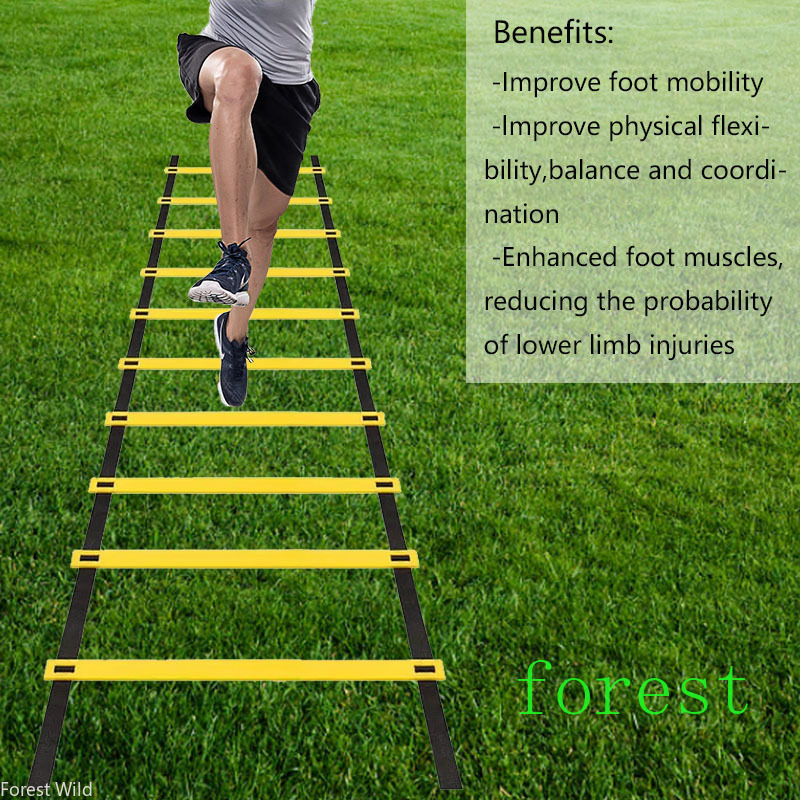Abnehmbare Agility-Leiter für  – Agility Ladder Speed Bewertung und Preis