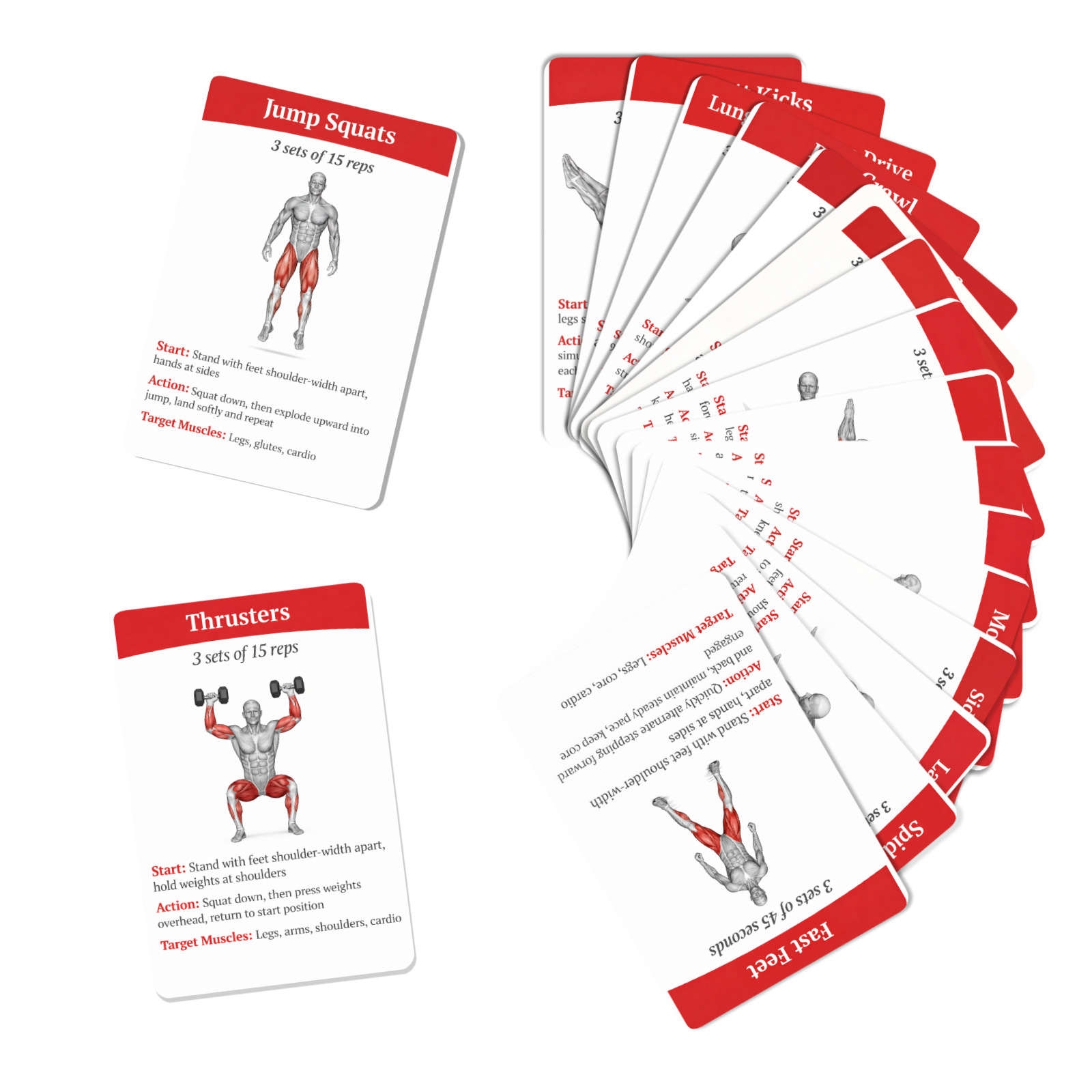 36-teilige Anleitungskarten zu – Home Gym Needs Bewertung und Preis